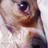 takarashigeru's profile image