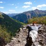 ArduinoGuy's profile picture. Arduino, RaspPi, ESP8266/32 lover, tech fiend, closet programmer, guitar beginner, hiker/skier non-extraordinaire. Avid #DilbertReborn & @MarketScholars fan!