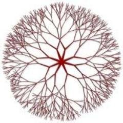 Neurohackademy Profile