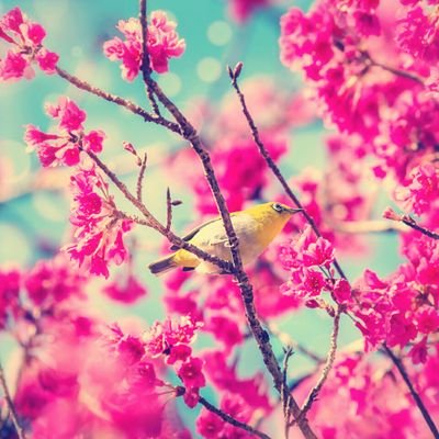 arjunro09804380's profile picture. 