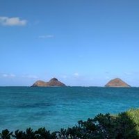 Hawaiian Hui(@HawaiianHuiTV) 's Twitter Profile Photo