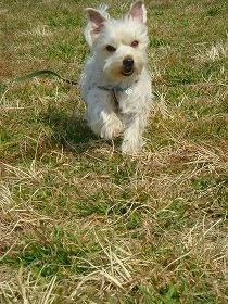 U1herb's profile picture. 