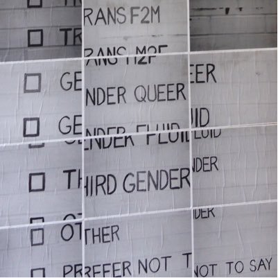 Artist. Creative. Procrastinator. Gender Explorer. 45% led by right brain. 45% led by left brain. 10% walks in circles.