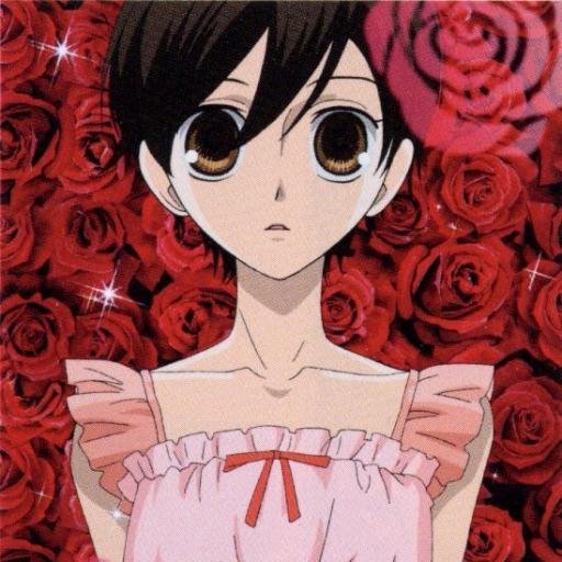 Haruhi Fujioka is a 1st year student at Ouran Academy and a member of the Host Club in order to pay off a debt.