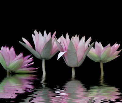 I don't know the key to success, but the key to failure is trying to please everyone.