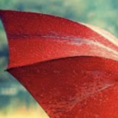 EroticEntreProj's profile picture. THE EROTIC ENTREPRENEURS PROJECT believes sex work is work. We study the business strategies and practices of online providers: https://t.co/4nApLkIEmM