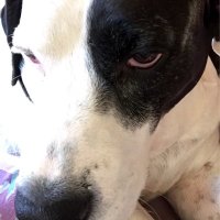 Betsy (@betsy2bcapp) 's Twitter Profile