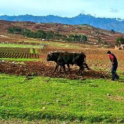 A farmer a preserver and a saver of the old school farming a pure way of living and only  by readopting it we can save the earth and its humans .