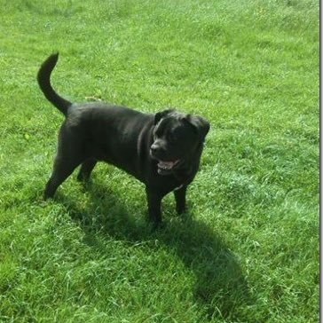 basdatthijn's profile picture. 