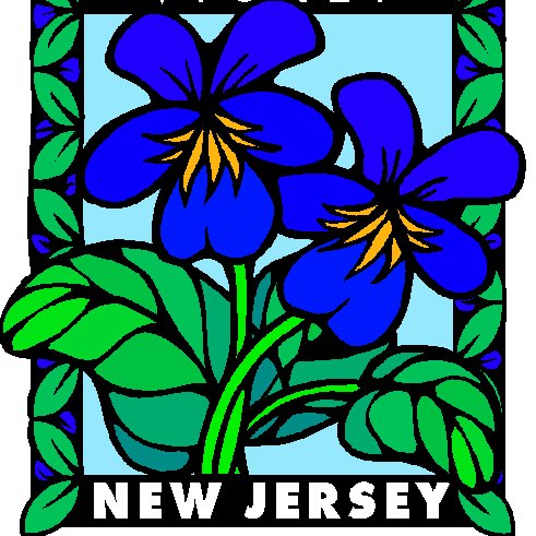 IAC_NJ's profile picture. Iranian American Community of New Jersey #Iran MEMBER OF @orgIAC stand for #FreeIran