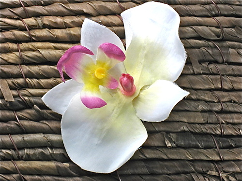 CBJewelry's profile picture. For the love of jewelry! I love to create new and fabulous jewelry!