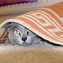 Andy Taplin - @AndyTaplin - Twitter