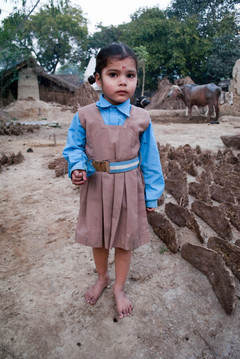 basiceducation's profile picture. Free and compulsory education to all children up to the age fourteen