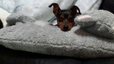 ji_ji_kun's profile picture. -