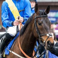 Nick Bannerman (@nick19666) 's Twitter Profile Photo Nick Bannerman (@nick19666) 's Twitter Profile Photo