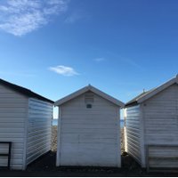 Fossilsinmypockets (@fossilpockets) 's Twitter Profile Photo