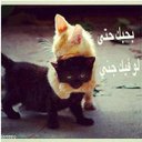 الحب كلمات (@01293447Sadam) Twitter