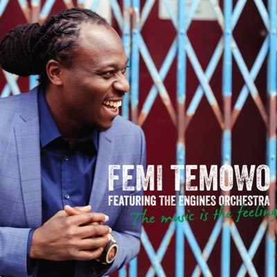 Femi Temowo