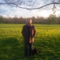 Hesham Ahmed (@drheshamhassan) 's Twitter Profile