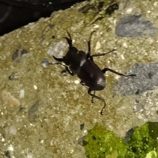 tmori3y2's profile picture. 