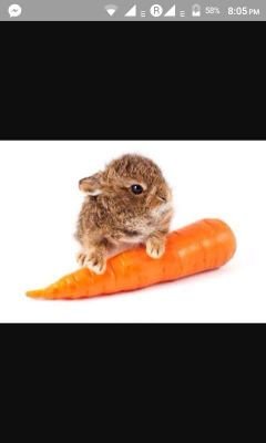 17Kntn's profile picture. 