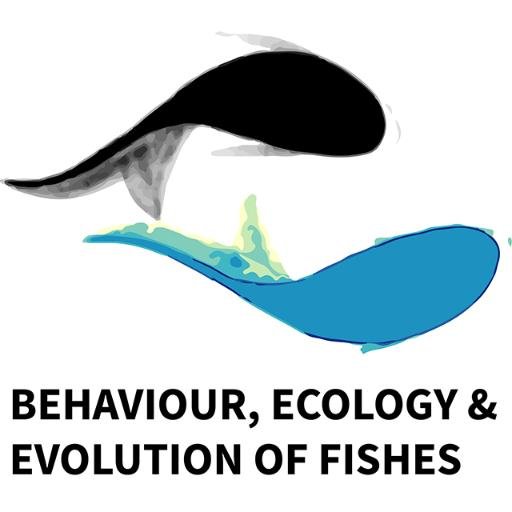 FishLab_MQ's profile picture. We are the Behaviour, Ecology and Evolution of Fishes Lab @MQSciEng. Visit our website for info on research &amp; opportunities: http://thefishlab.com