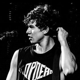 pepperonixhemmo's profile picture. ♪ he's just a little bit out of my limit ♪