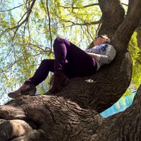 Kerrie Armstrong (@karmstrong06) 's Twitter Profile