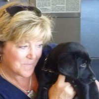 Laurie Pandorf (@litcoach21) 's Twitter Profile