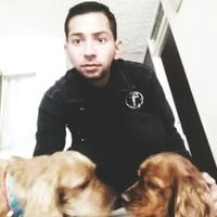 Robinson Arias V. (@robin69ack) 's Twitter Profile