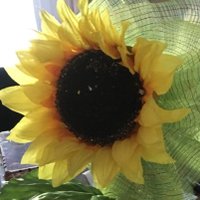 Janet Dudick, Ph.D. (@janetdudick) 's Twitter Profile