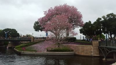 colblatz's profile picture. I'll always be some where solvin cubes