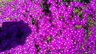 hasturk_recep's profile picture. 