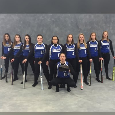 gtownjvsoftball's profile picture. follow us for all your JV softball updates, pictures, and game info!!