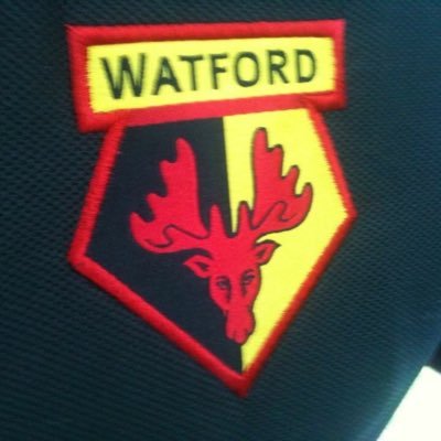 Web content developer and editor and, most importantly, Watford FC fan ⚽