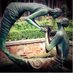 Chester Culture (@chesterculture) Twitter profile photo Chester Culture (@chesterculture) Twitter profile photo