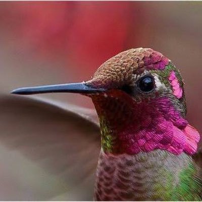 buje48's profile picture. 