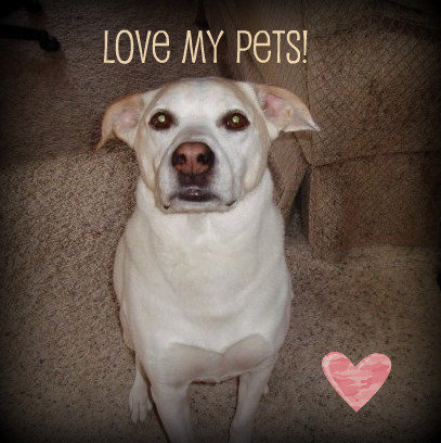 lovemypetsfb's profile picture. I want to share stories & photos of my pets and yours.  I have an awesome God and family, including 2 dogs - Casper and Roscoe.   Visit them on my FB fan page.