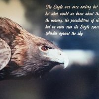 Taffy B (@pacflyway) 's Twitter Profile