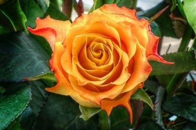 mariselamartinz's profile picture. 