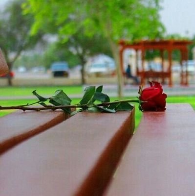 a7aasiis's profile picture. 