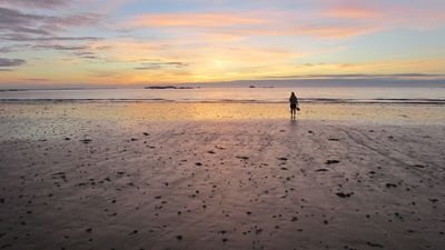 alyona0930's profile picture. « Après avoir rendu tout d’abord stupide leur bétail domestique (….)ils leur montrent ensuite le danger qu’il y aurait à essayer de marcher tout seul. »