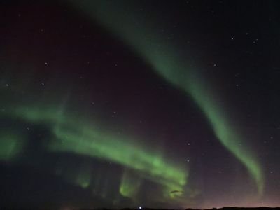 redscooter5's profile picture. 