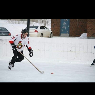 sens and ravens fan