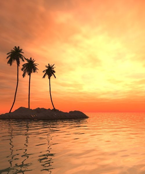 keysrealtor1's profile picture. Realtor living the life in the Keys! Coldwell Banker Schmitt Real Estate