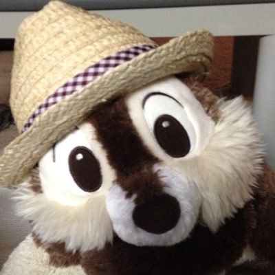 コメツキムシさんのプロフィール画像