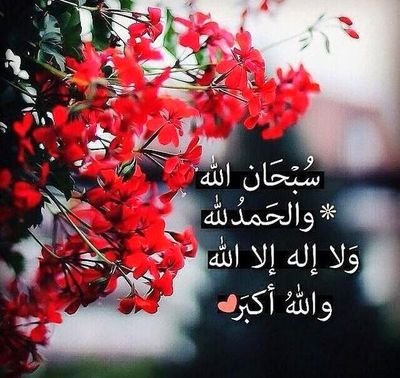 XC7lk8emtoVBcaY's profile picture. 