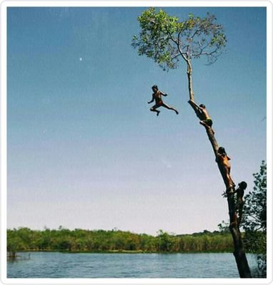 SK4798's profile picture. 