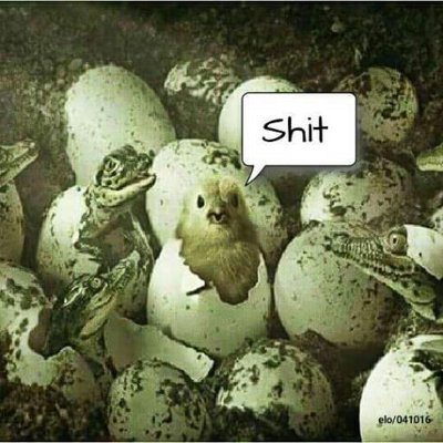 CNBC on Twitter: CNBC on Twitter:
