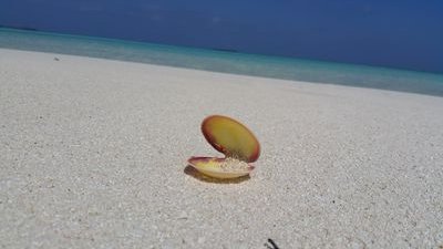 yameen4504's profile picture. 